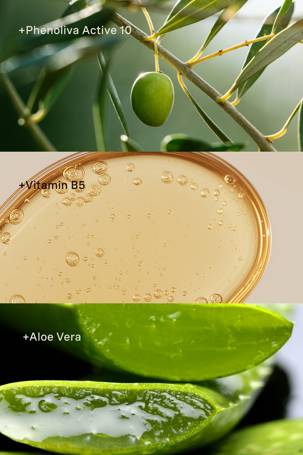The After Sun Face Creme (50ml)